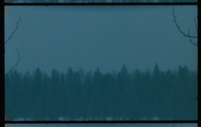 A foggy wintery landscape with a distant forest captured on vintage film
