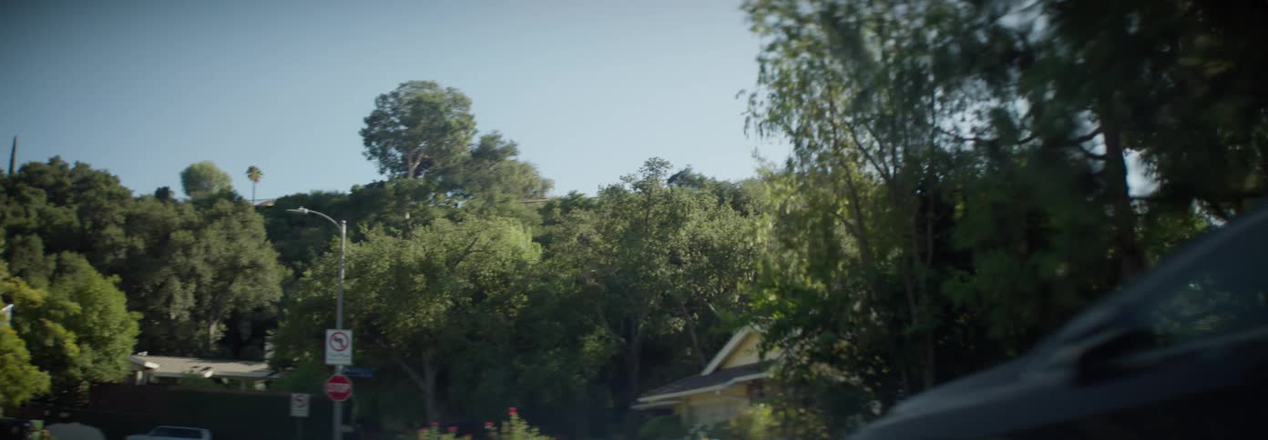 A car drives down a tree lined residential street on a sunny day