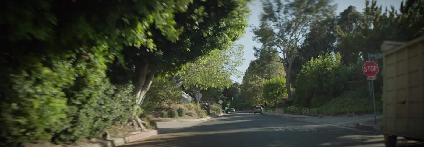 The road is lined with homes