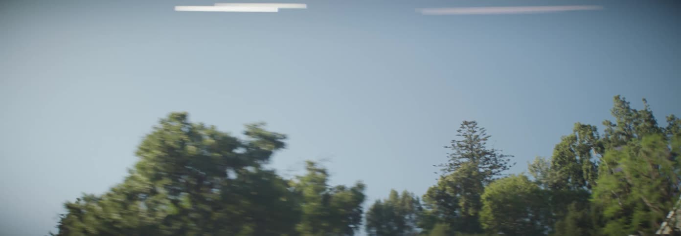 View from a moving car window of trees on a house