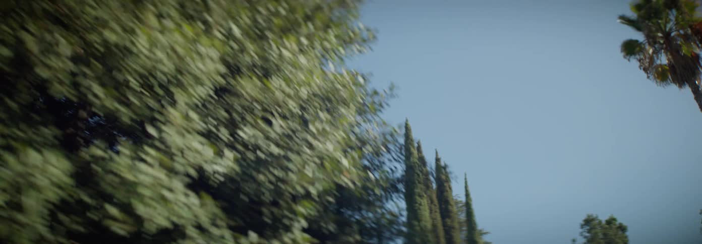 Tree tops and a clear blue sky seen from a moving vehicle