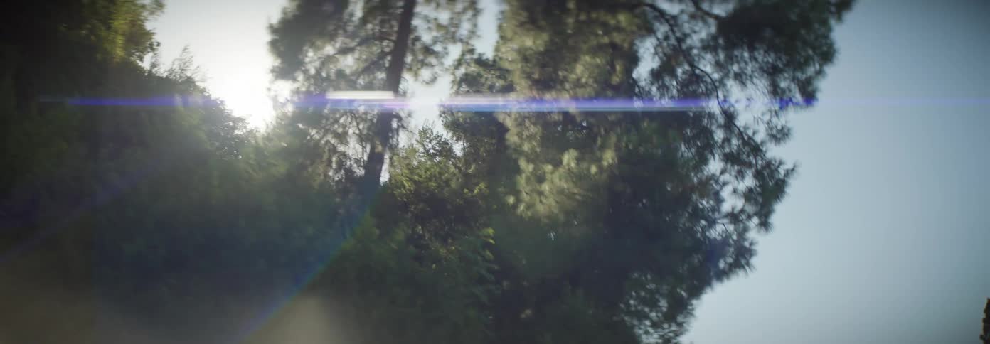 A warm golden sun casts its rays through the dense foliage creating a dappled pattern of light and shadow on the forest floor visible from the car window