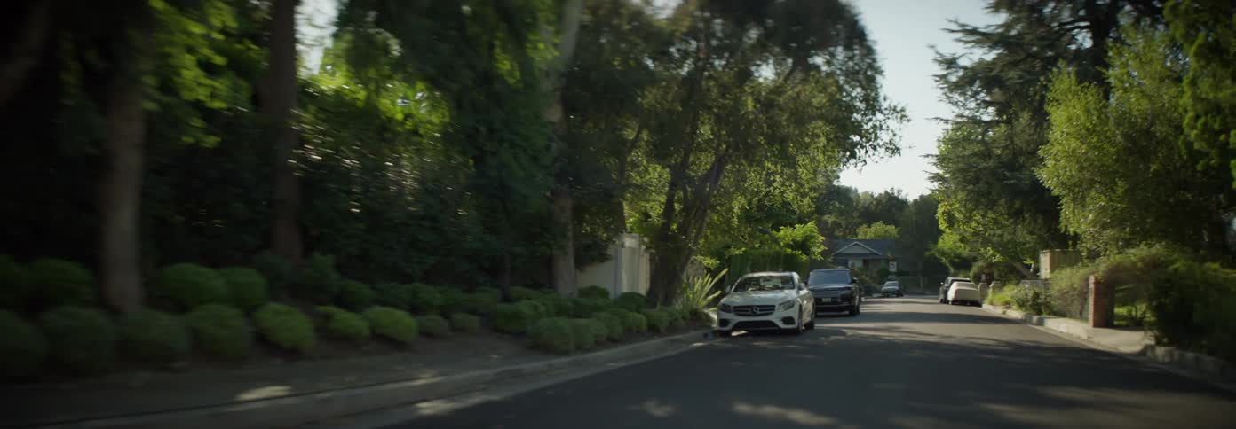 A quiet residential street winds through a lush green neighborhood with houses nestled amidst trees