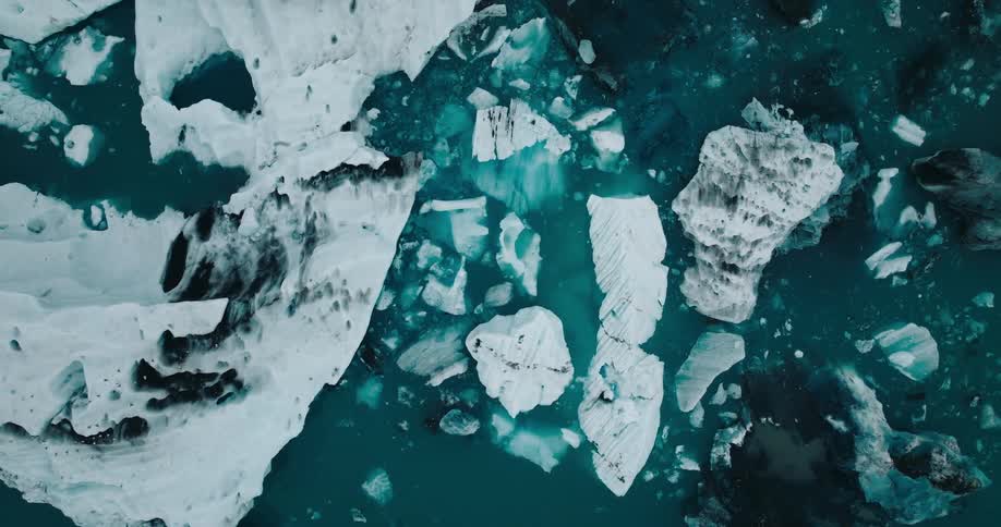 Bird flies over the icebergs and smaller pieces of ice floating on the reflective water near an arctic coast