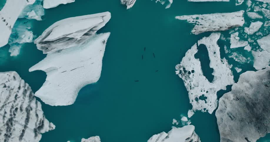 A pod of orcas swim gracefully through the icy waters their sleek bodies contrasting against the bright blue sea