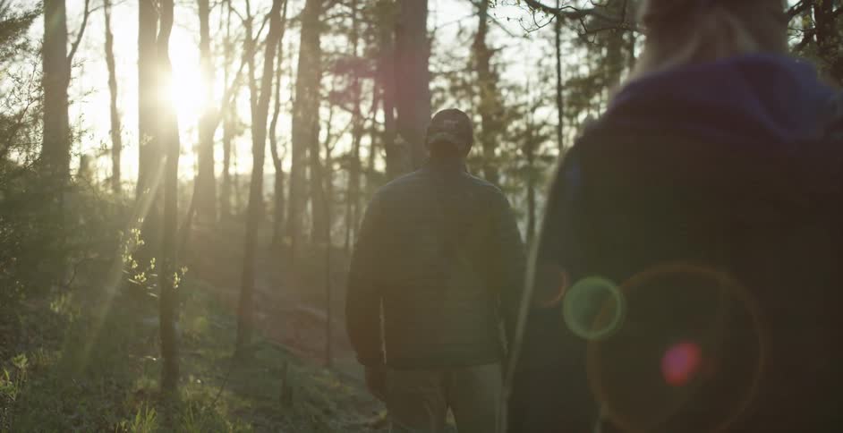 A couple of people walking a trail through the woods