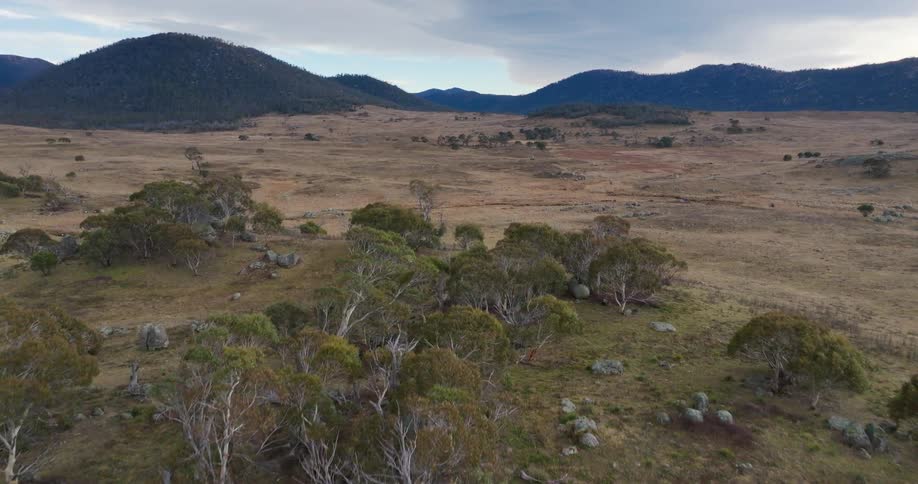 A vast open plain dotted with scattered trees and mountains in the distance