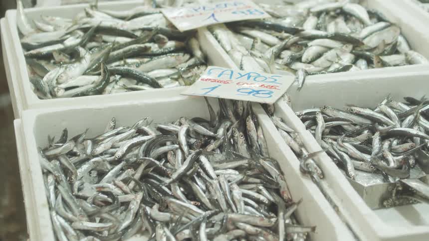 Trays of freshly caught fish are displayed at a market
