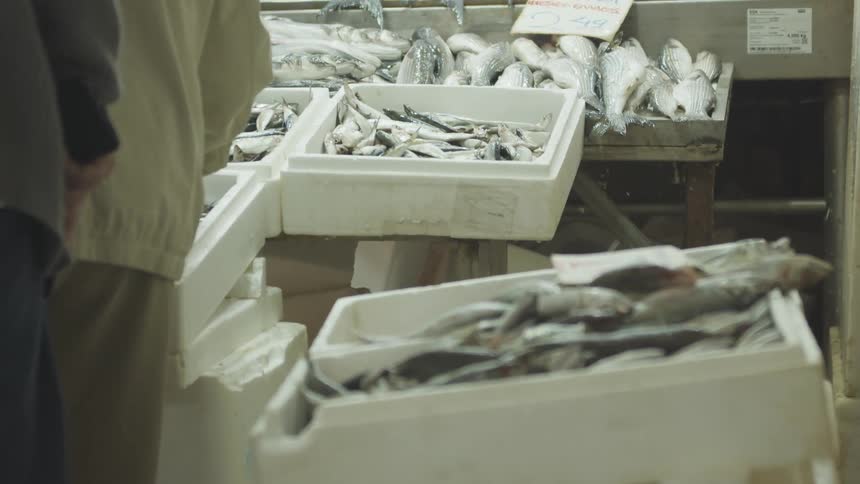 A clip of fish crates