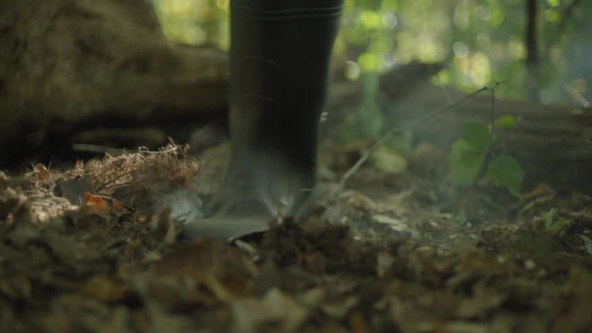 A clip of a person killing the some in the forest