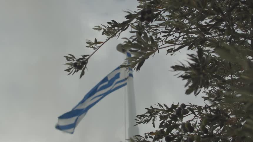 A greek flag waves in the wind partially obscured by olive branches