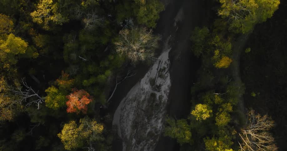 Aerial panorama of a forest with snow marks
