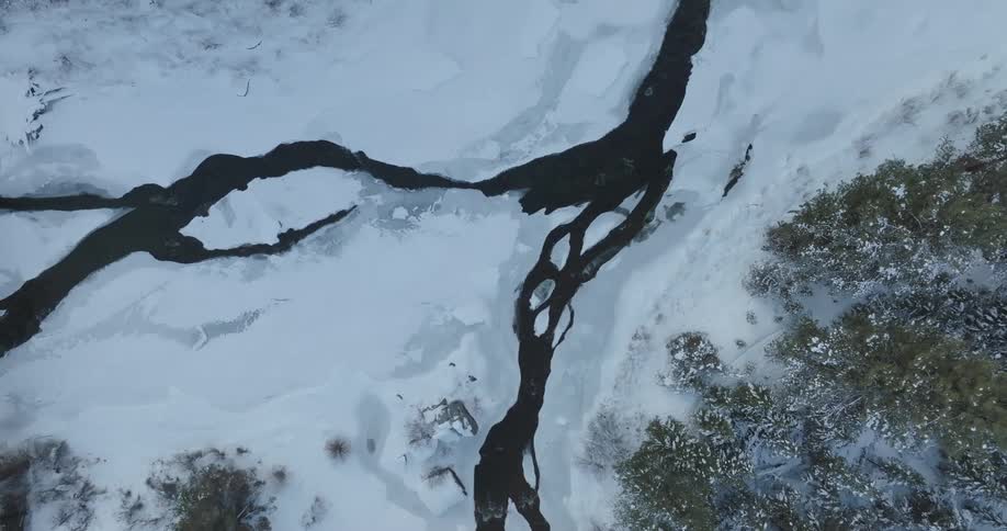 Aerial view winter river snow covered ground trees