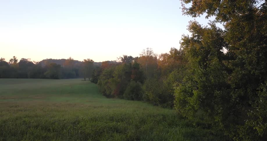 A wide clip of a grassland