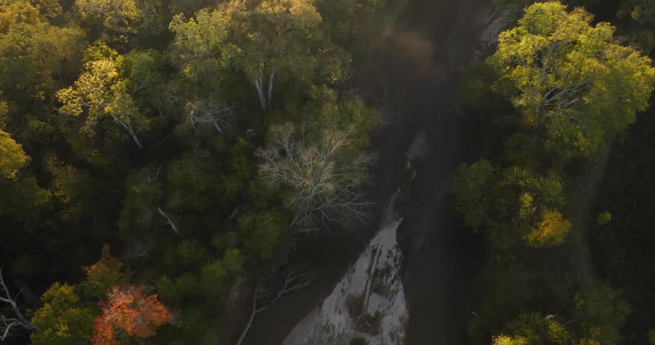 Aerial view of a forest with a river in the middle of it