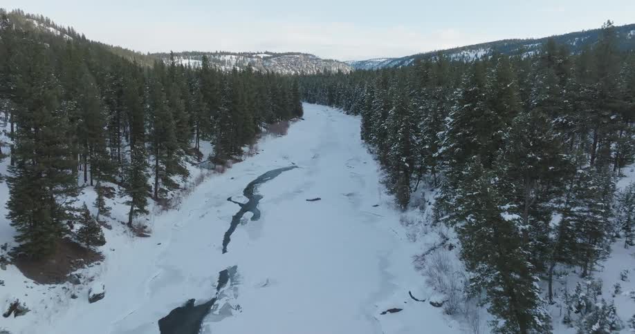 Aerial of a frozen river in an evergreen forest on a sunny winter day