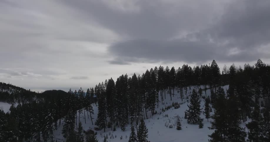 Aerial of snowcovered mountain cabins in an evergreen forest on a cloudy day