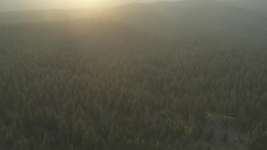 The sun shines over mountains and an immense forest