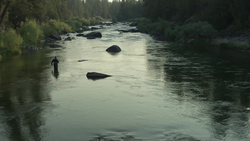 Man fishing in a river surrounded by dense forest