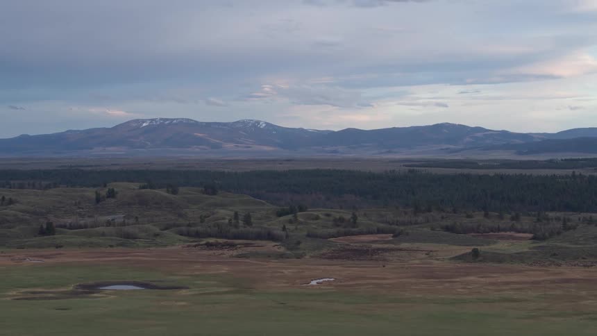 Aerial panorama of a natural landscape with trees and mountains on the horizon