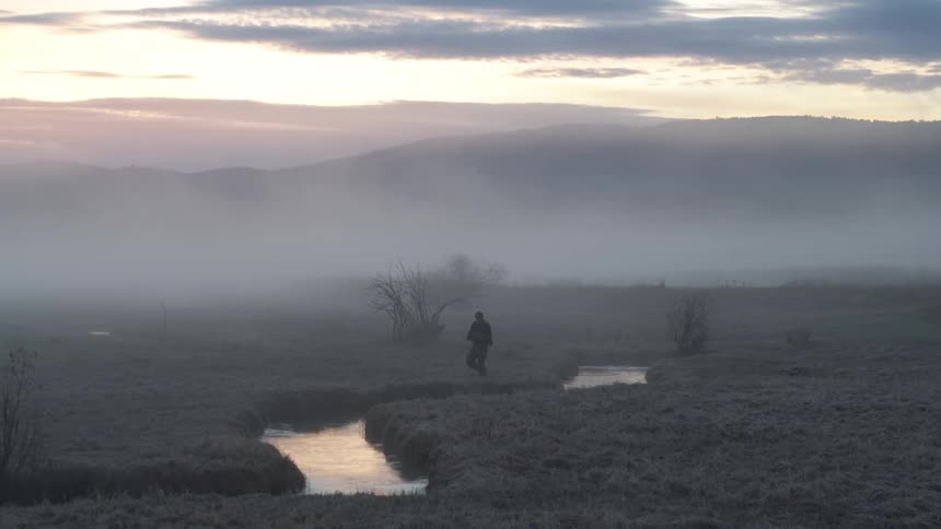 Person walking through a field by a river on a day with low fog