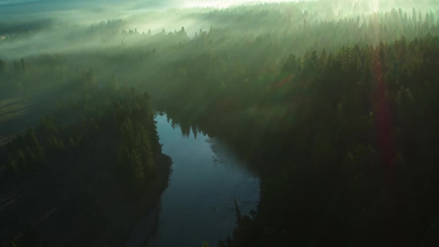 Aerial view of a river surrounded by dense forest and the reflection of sunlight