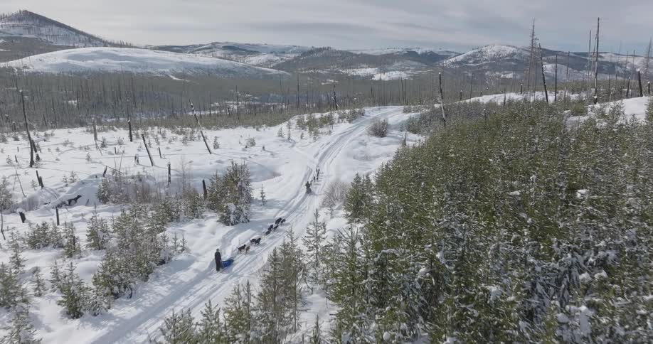 Snowy landscape with a dog sled