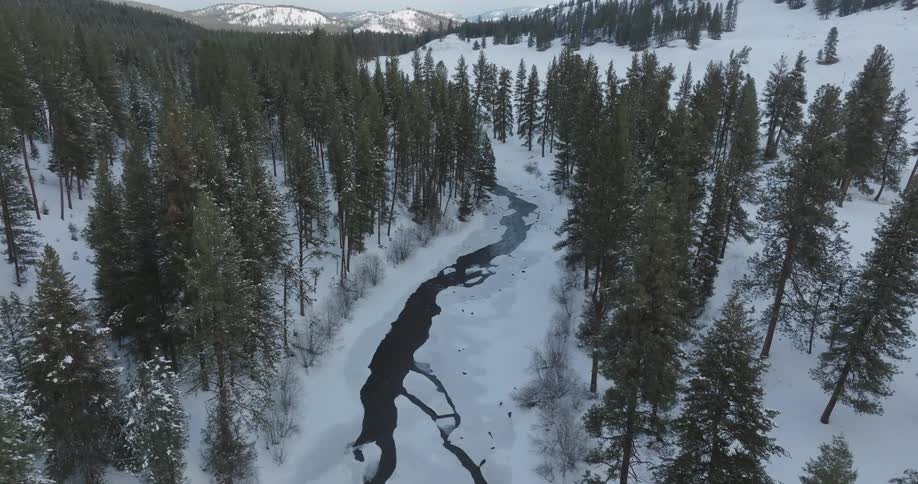 Aerial shot of a river in a snowcovered area surrounded by conifers