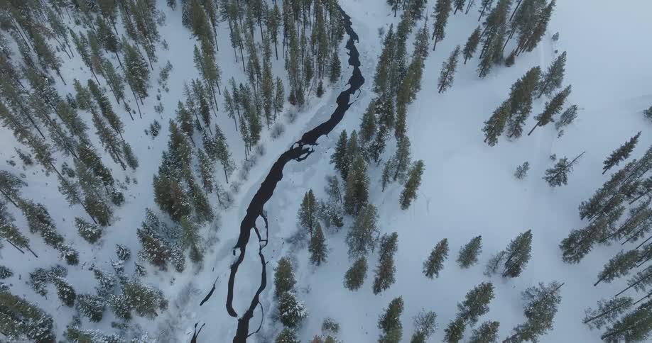 Aerial view of a winding river cutting through a snowcovered forest