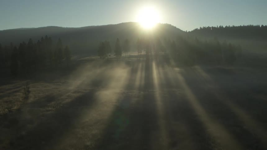Aerial view of a field with conifers and the sun on the horizon