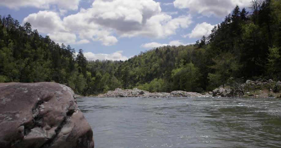 River flowing through a forest area on a cloudy day