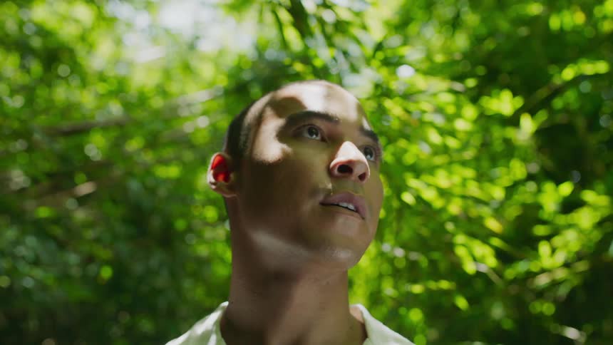 A man searching around a bamboo forest on a sunny day