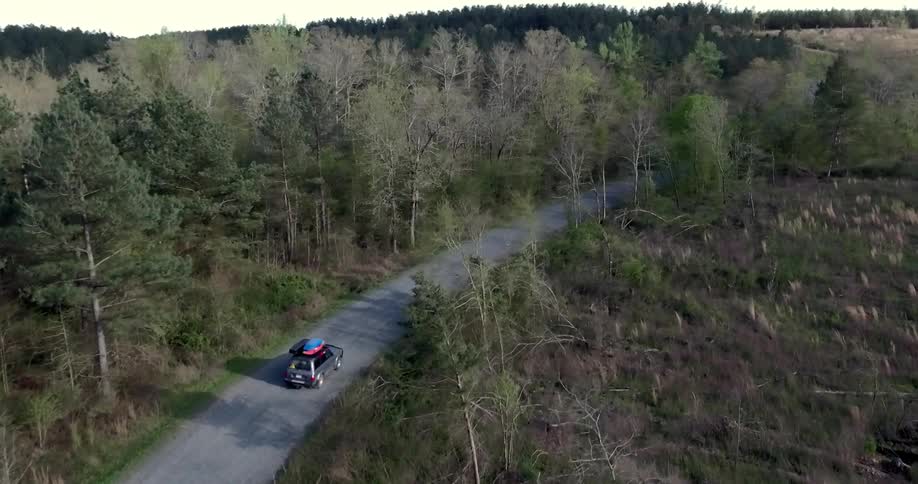 A vehicle with kayaks attached to the roof drives through a forested area