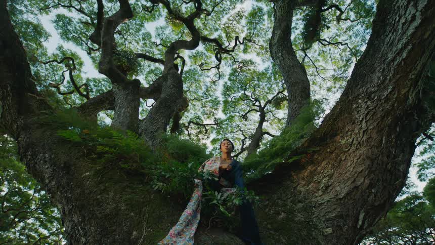 A man in traditional chinese clothing sits on the branches of a large tree covered in ferns