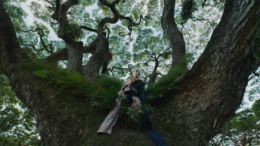 A person in traditional chinese clothing sits on the branches of a large tree covered in ferns