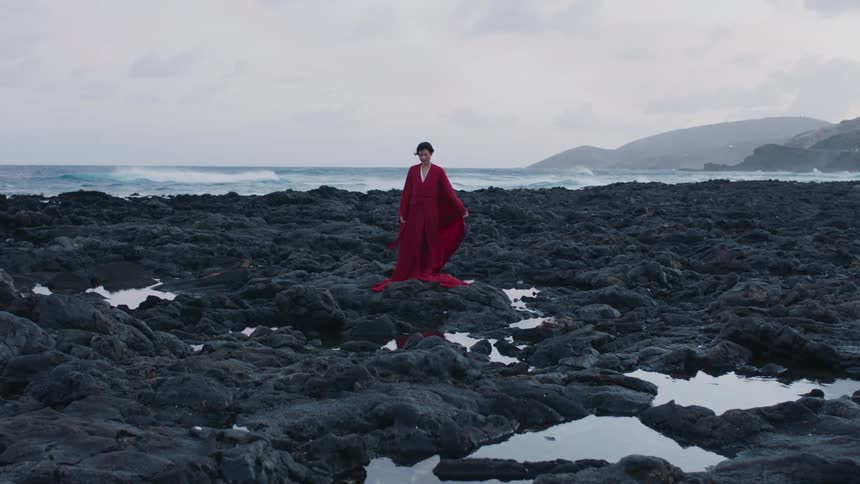 Woman in long red dress on rocks by the beach