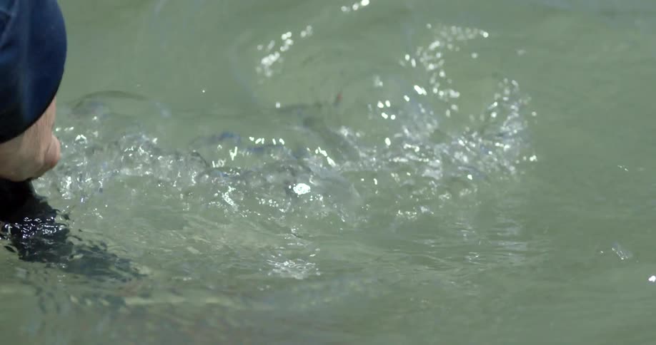 A view of an oar entering and leaving the water