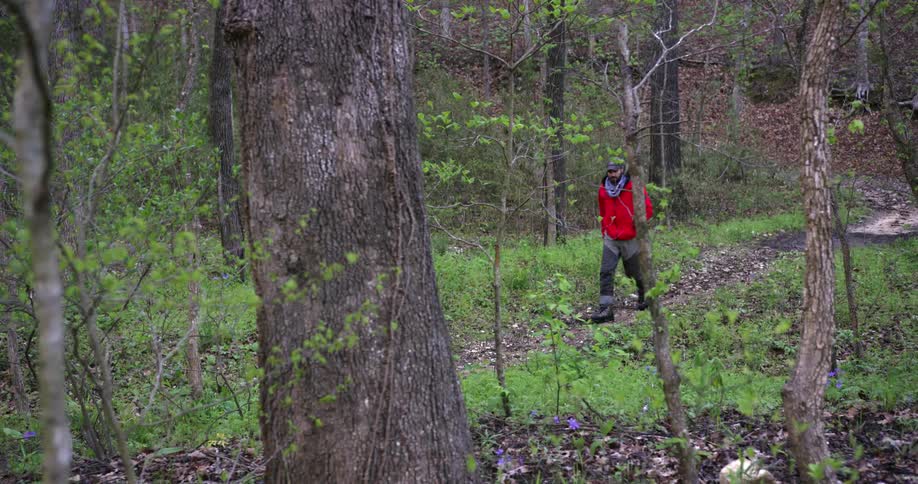 A man carrying a fishing pole is walking on a path in a forest