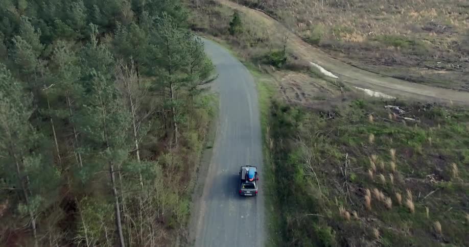A car drives near a forest