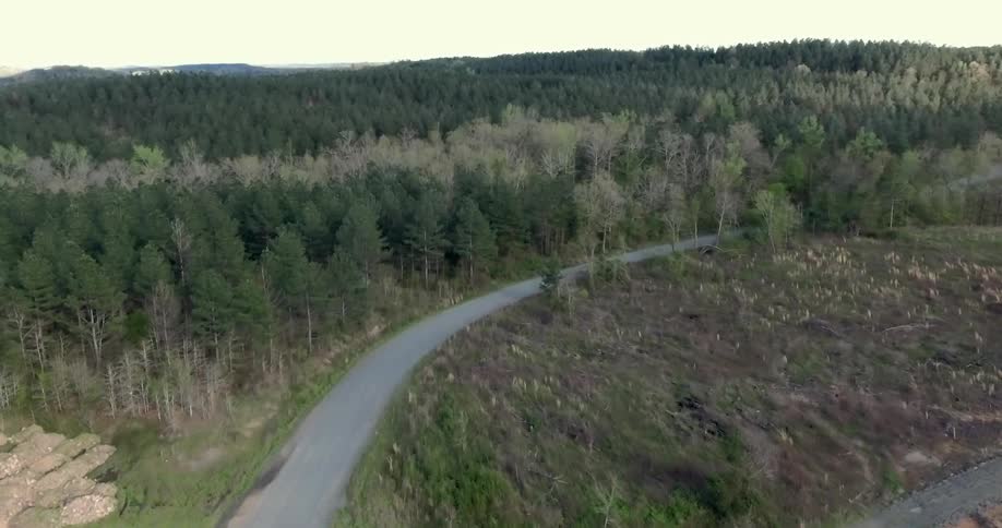 Aerial view of a small paved road through the countryside