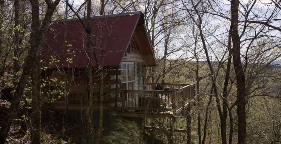 Leaves bristle on trees in front of a cabin