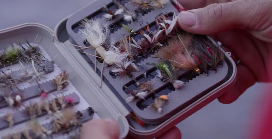 A container holding a variety of fishing lures is being opened