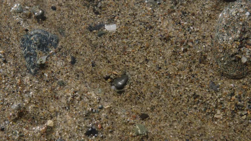 Close up of a stream of water running through wet sand and small stones on a beach