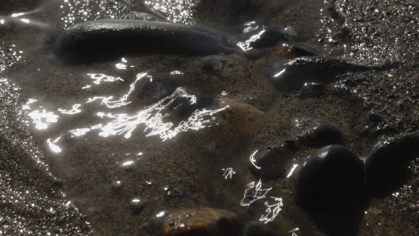 A close up clip of a river bank