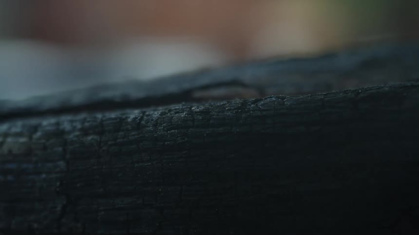 A closeup of charred wood showing the intricate patterns of the burned surface