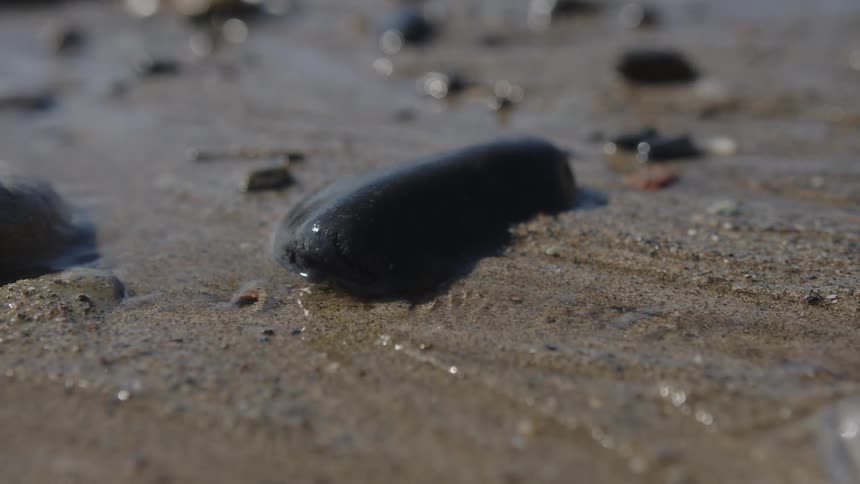 Wet sandy surface with scattered small stones