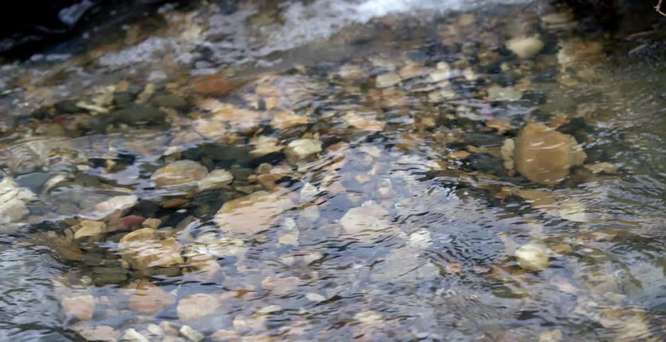 A view of a slow stream flowing over rocks