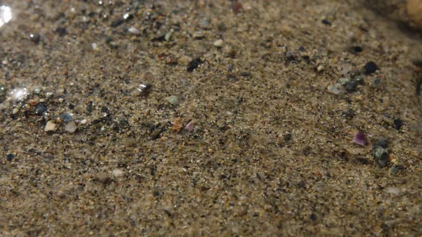 Pebbles and sand move due to the current of a small stream
