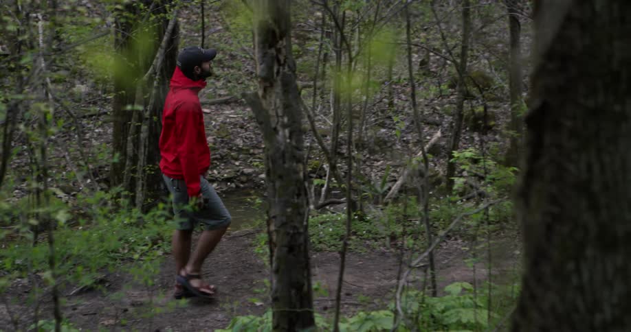 A man walks through the trees along a creek