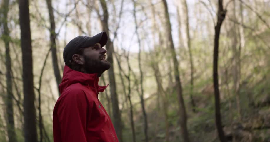Man staring up at the sky in the woods